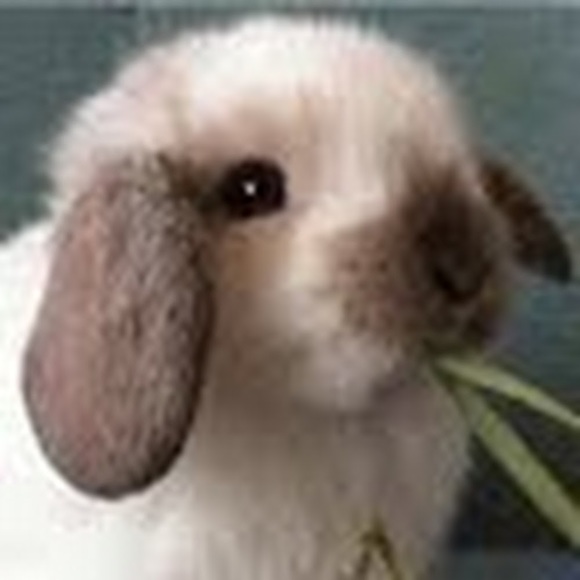 Meet your Posher, Yulia - Picture 1 of 1